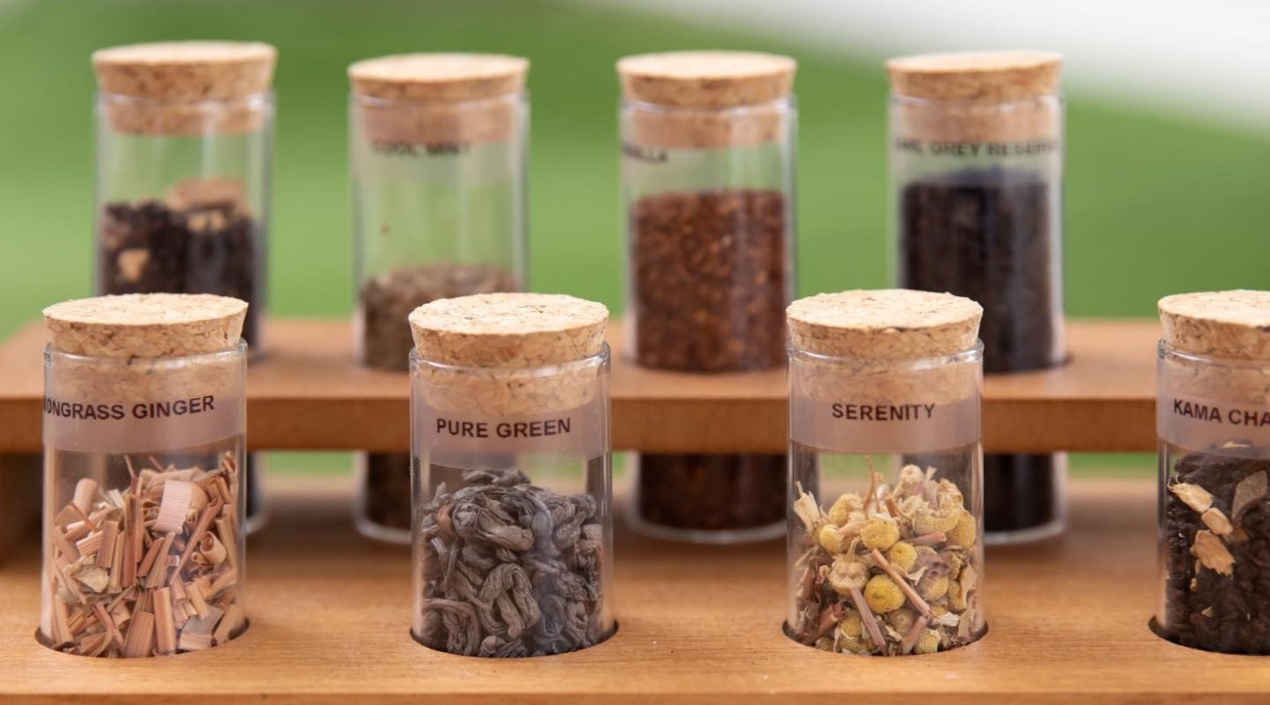 Different Types of Tea | Tavalon Tea Australia & New Zealand