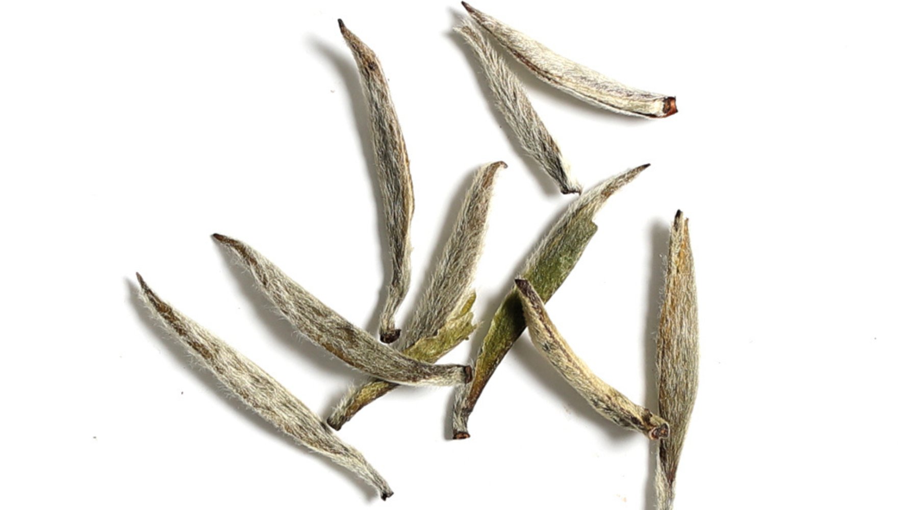 Silver Needle White Tea |Tavalon Tea Australia 