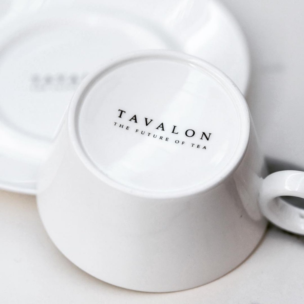 White Cup and Saucer