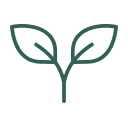 Premium Whole Leaves Icon | Tavalon Tea Australia