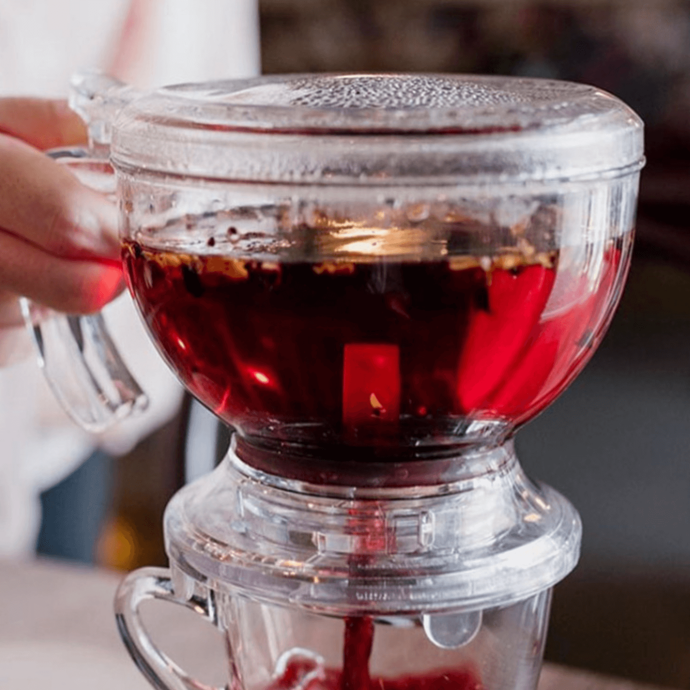 Gravity Teapot | Tavalon Tea Australia