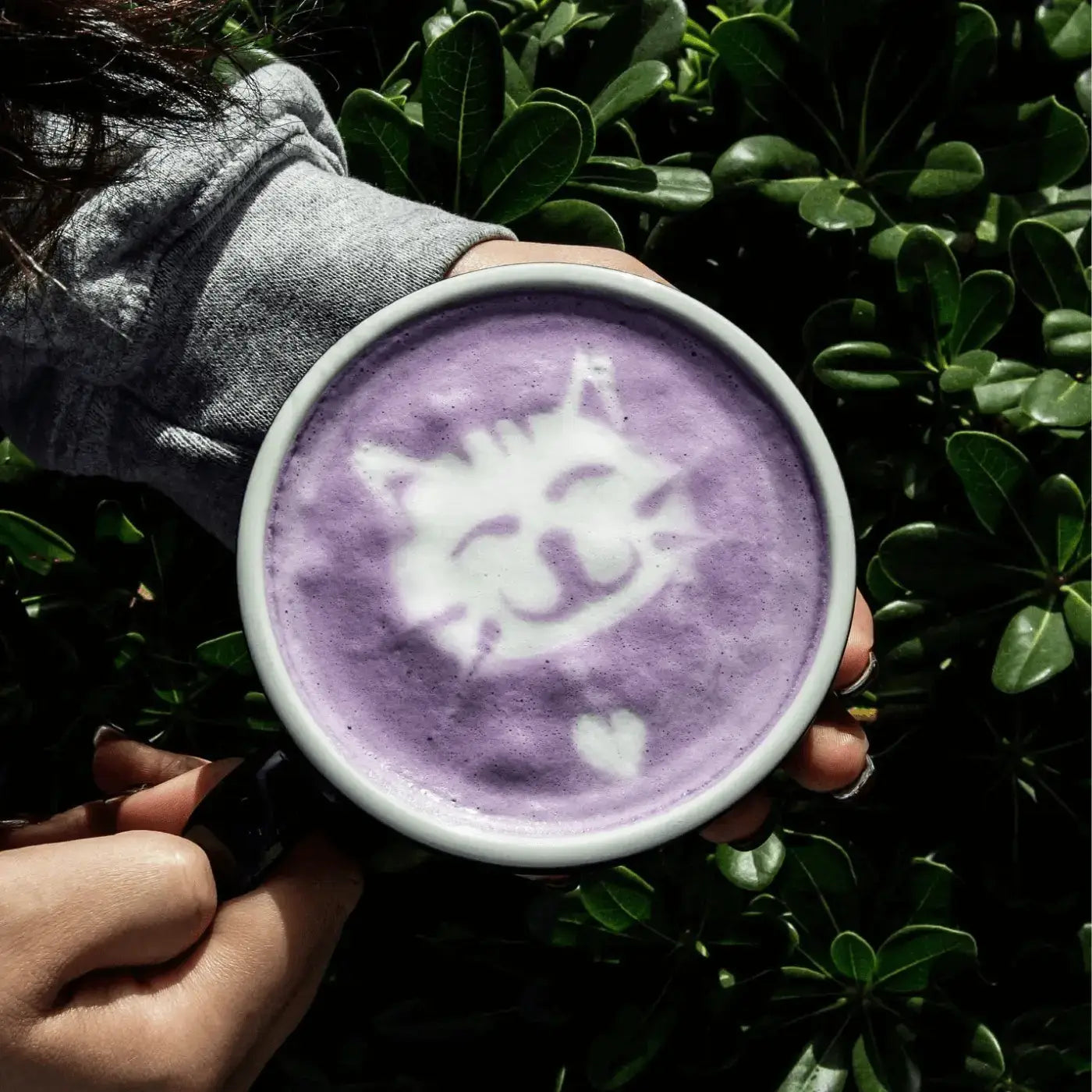 Taro Latte Mix | Tavalon Tea Australia