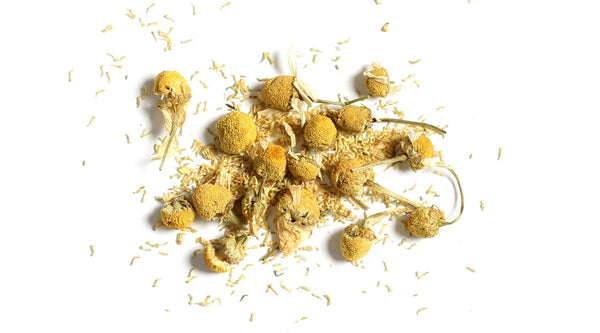 Royal Chamomile Tea | Tavalon Tea Australia & New Zealand
