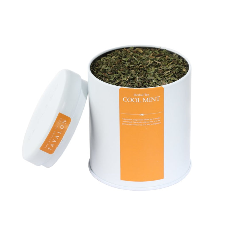 Cool Mint Loose Leaf Large Tin | Tavalon Tea Australia