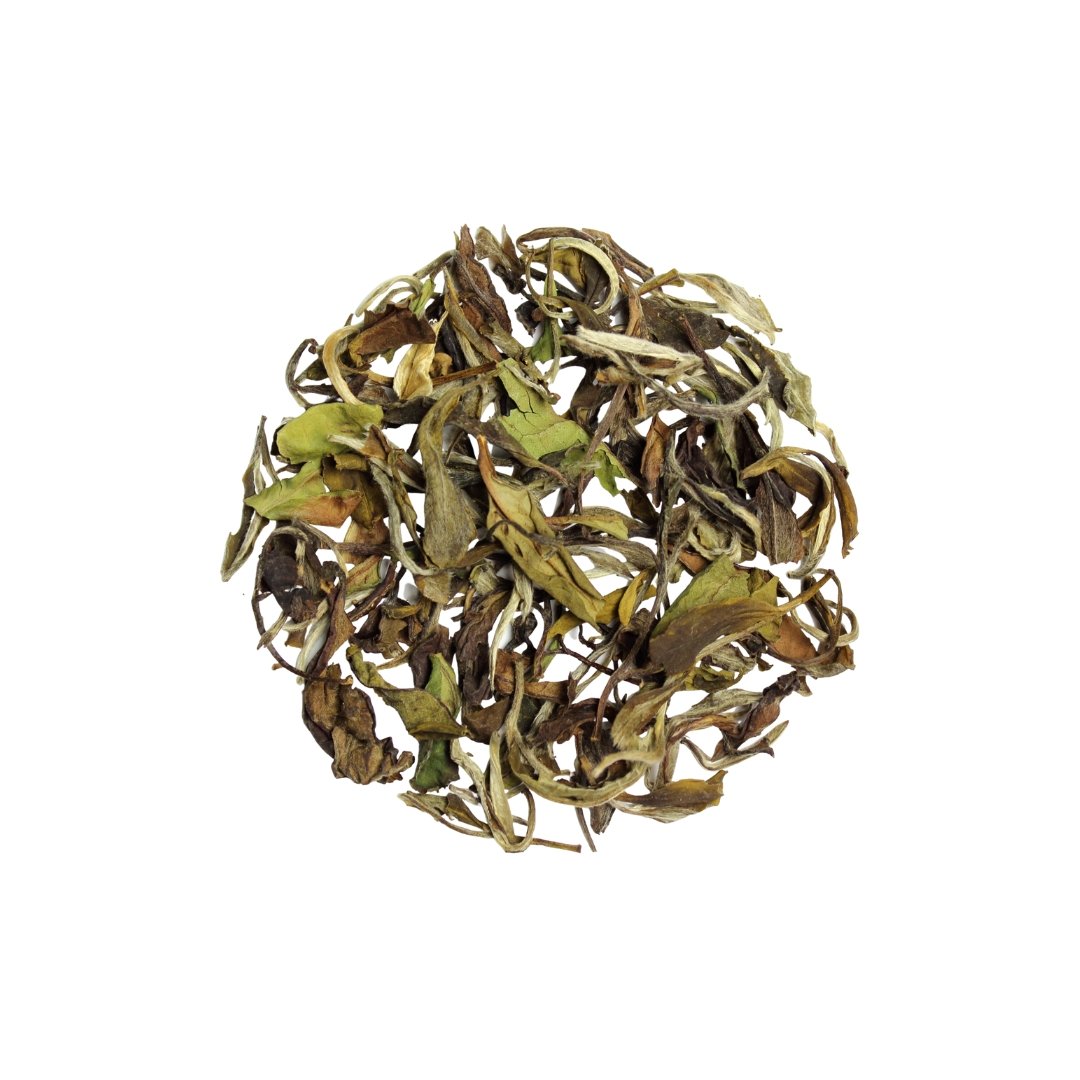 Great White Tea Leaves | Tavalon Tea Australia